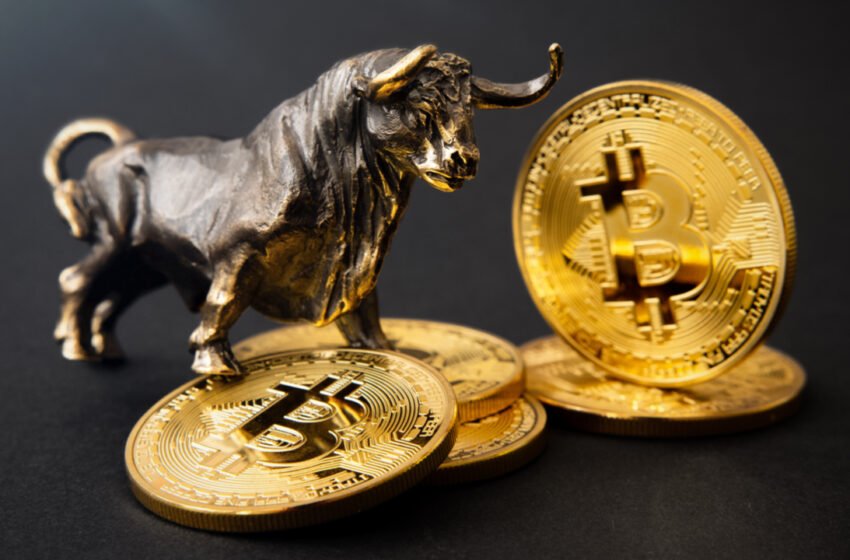  Tim Draper Bullish on Bitcoin Due to Its Inflation Hedge Traits – Bitcoin News