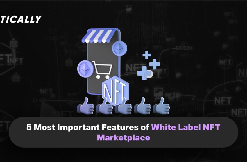  5 Most Important Features of White Label NFT Marketplace