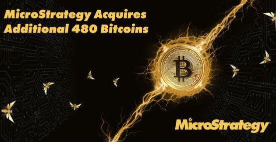  MicroStrategy Shows Faith And Buys More Bitcoin Amidst Market Sell-Off