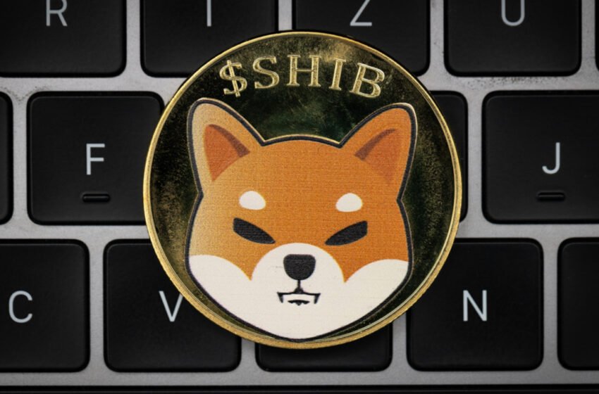  SHIB’s Shibarium Public Beta Is Planned for Deployment in Q3 – Bitcoin News