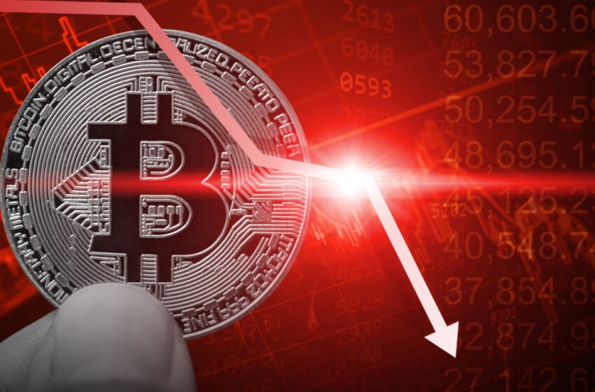  BTC Drops Below $24,000 to Lowest Level Since December 2020 – Market Updates Bitcoin News