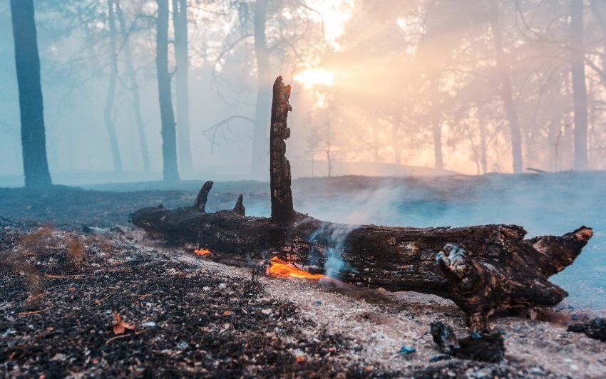  Mike Novogratz says crypto crash is almost done, price to remain sideways