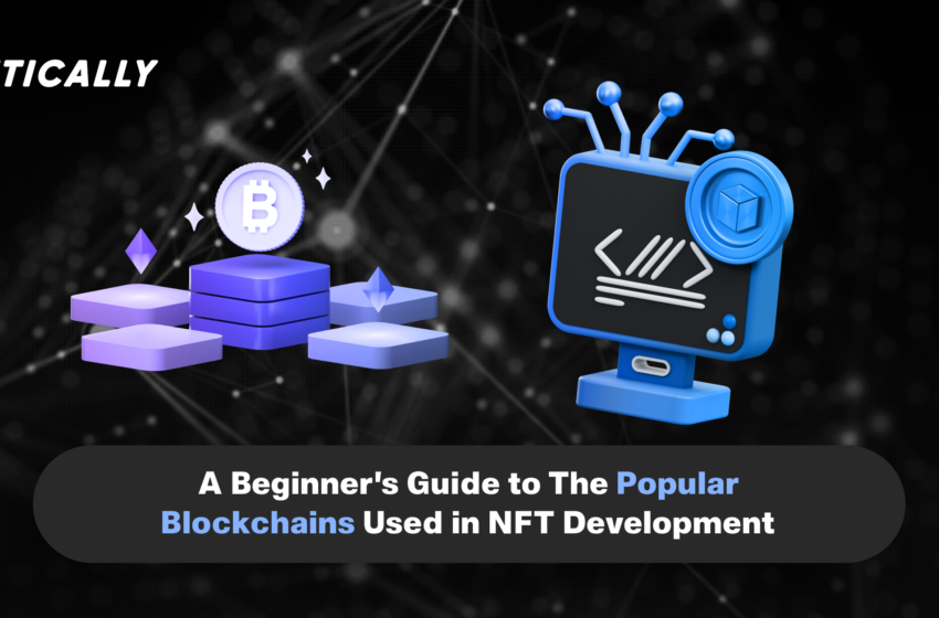  A beginner’s Guide to The Popular Blockchains Used in NFT Development