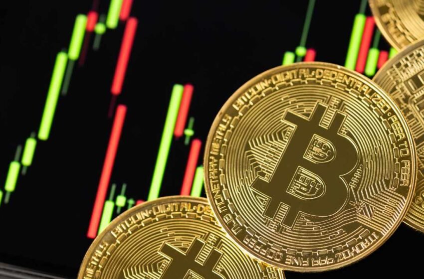  Bitcoin Could See Another 5-6 Months of Downward or Sideways Price Movement – Markets and Prices Bitcoin News
