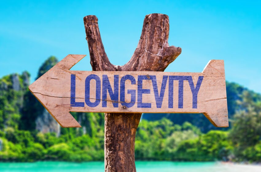  Longevity Science Foundation Launches NFT Collection