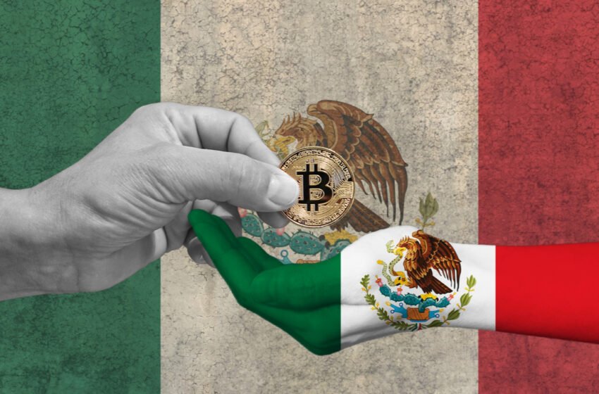  Senator Indira Kempis Proposes Bill to Make Bitcoin Legal Tender in Mexico – Regulation Bitcoin News