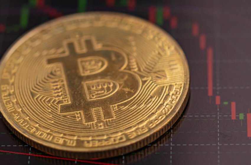  BTC Falls Below $22,000 to Start the Week – Market Updates Bitcoin News