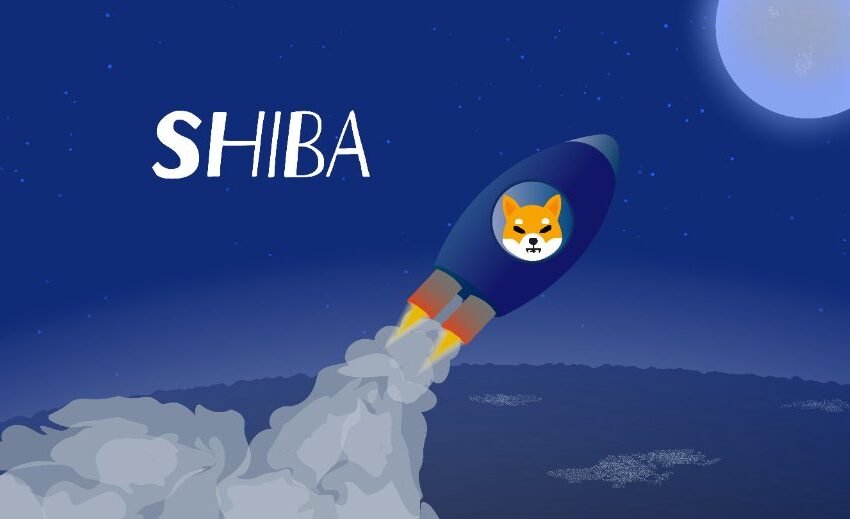  Shiba Inu’s 30% surge causes a social media sensation