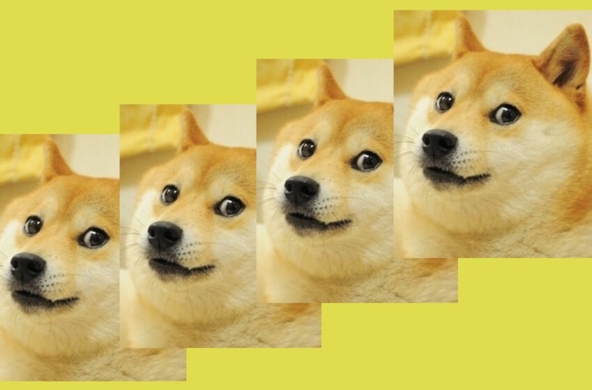  Fractional NFT Markets Slide 76% in Value in 7 Months, Diced-up Doge NFT Still Leads the Pack – Blockchain Bitcoin News