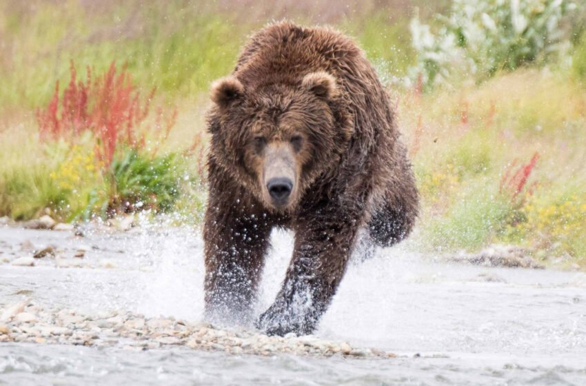  After More Than 380 Days, Crypto Supporters Celebrate Surviving the Second-Longest Bitcoin Bear Market – Bitcoin News