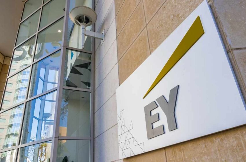  Crypto Winter No Longer Has Big Impact on Long-Term Industry Growth, EY Executive Says – Markets and Prices Bitcoin News