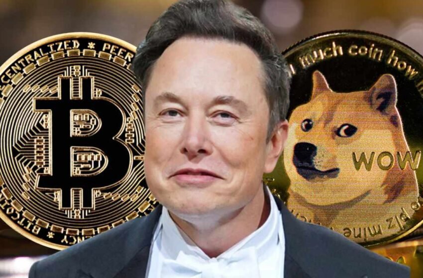  Bitcoin Will Make It — Dogecoin to the Moon – Markets and Prices Bitcoin News