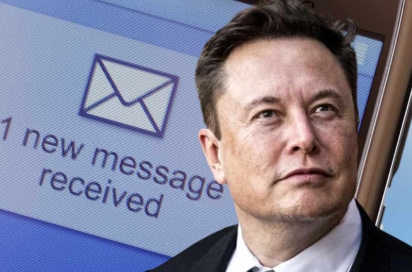  Elon Musk Confirms Bankman-Fried Owns 0% of Twitter Despite Reports Claiming a $100M Stake – Featured Bitcoin News