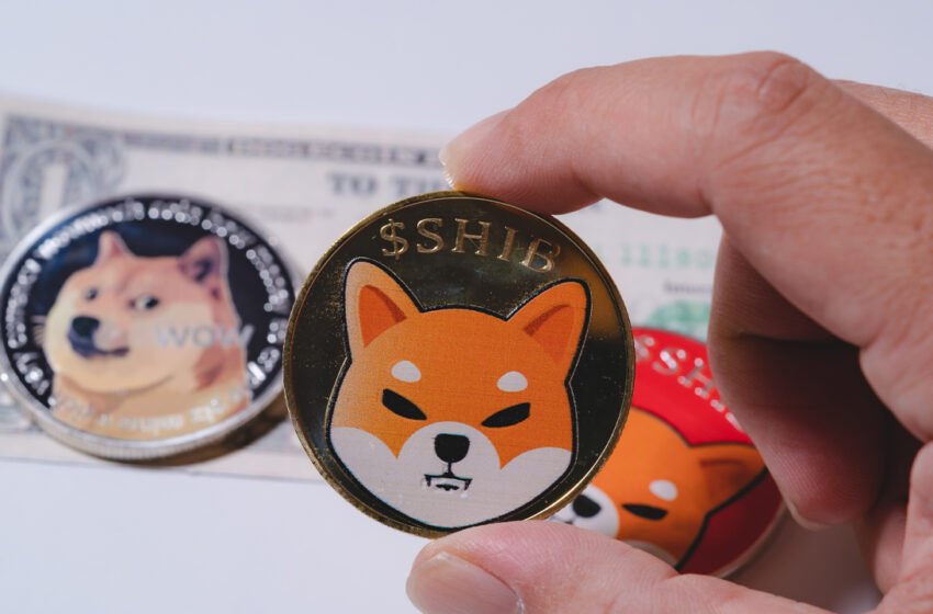  Meme Coin Economy Heals After the FTX Fiasco Swelling by $1.4 Billion in 30 Days – Market Updates Bitcoin News
