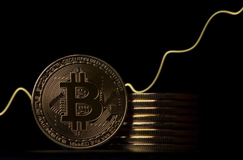  Bitcoin Reached Bottom, But Could Move to $12,000 if This Happens