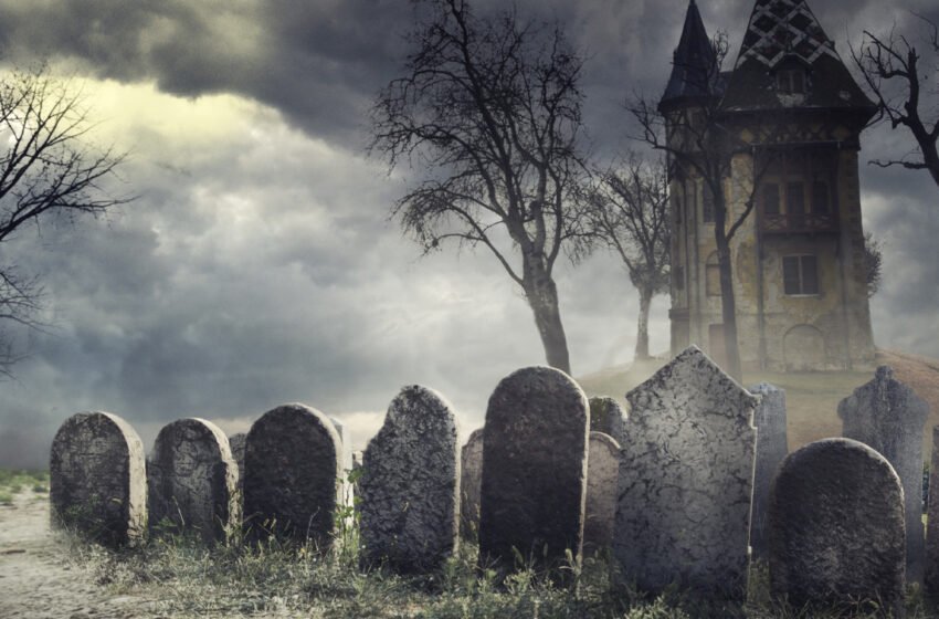  Crypto Supporters Sift Through the Graveyard of Technical Indicators That Failed to Predict Bitcoin’s Bottom – Bitcoin News