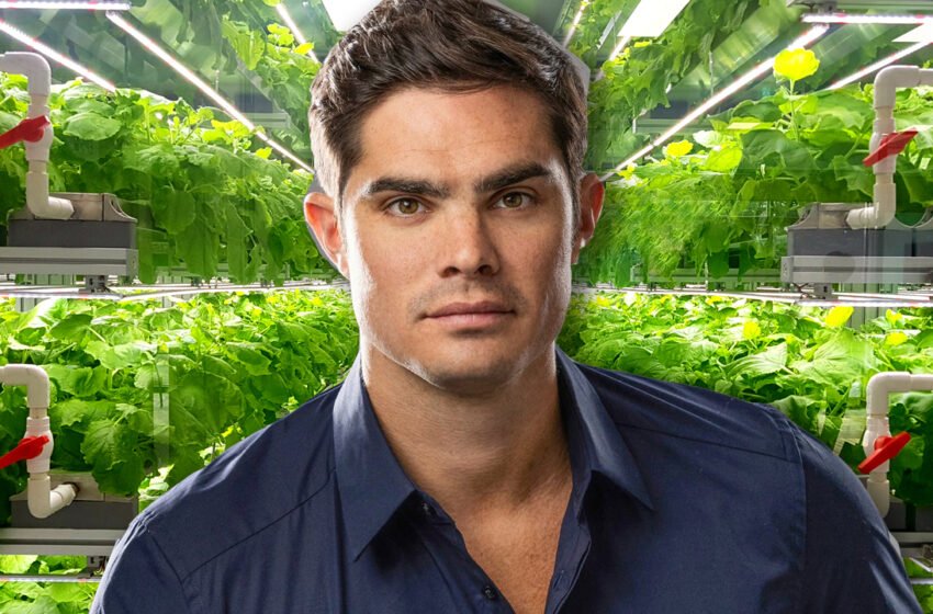  FTX’s Odd Relationship With Vertical Farming Firms — A Look at Exchange Boss Ryan Salame’s and Bahamian PM Philip Davis’ Trip to 80 Acres – Bitcoin News