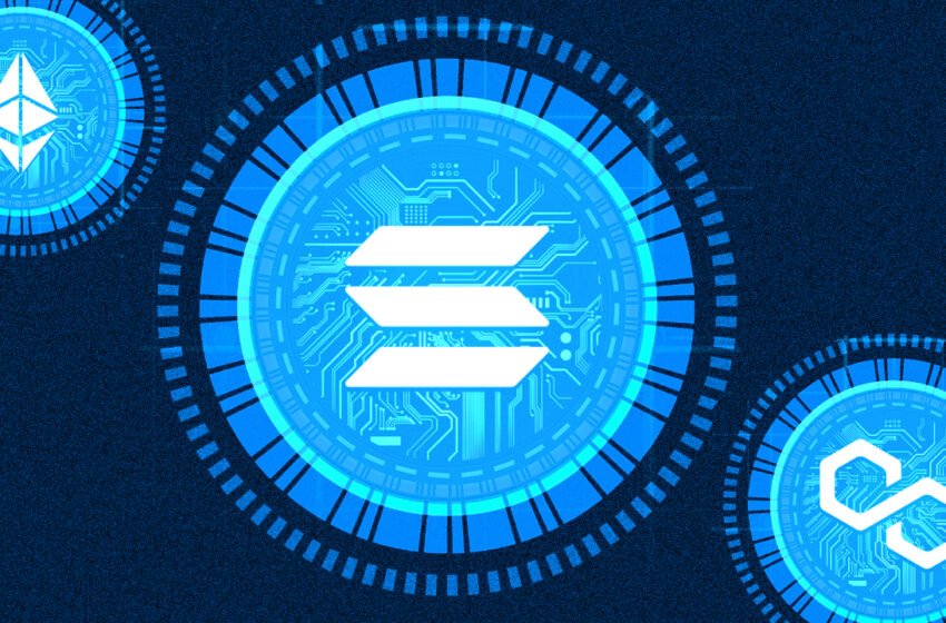  2 NFT Projects Plan to Transition From Solana to Alternative Blockchains – Bitcoin News