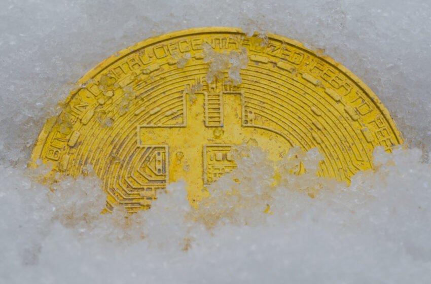  Commodity Analyst Mike McGlone Suggests ‘Bitcoin Appears Poised to Resume Its Inclination to Outperform’ – Bitcoin News