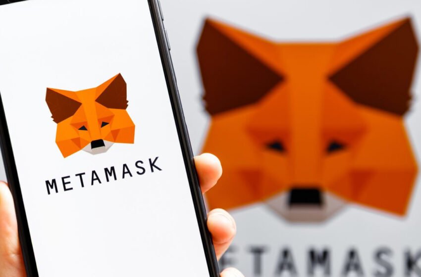  How to Save Assets After a Metamask Wallet Crash