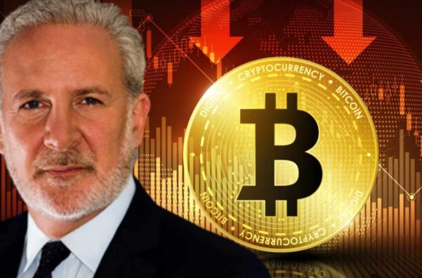  Economist Peter Schiff Warns Bitcoin May Not Rise When Other Financial Assets Rebound – Markets and Prices Bitcoin News