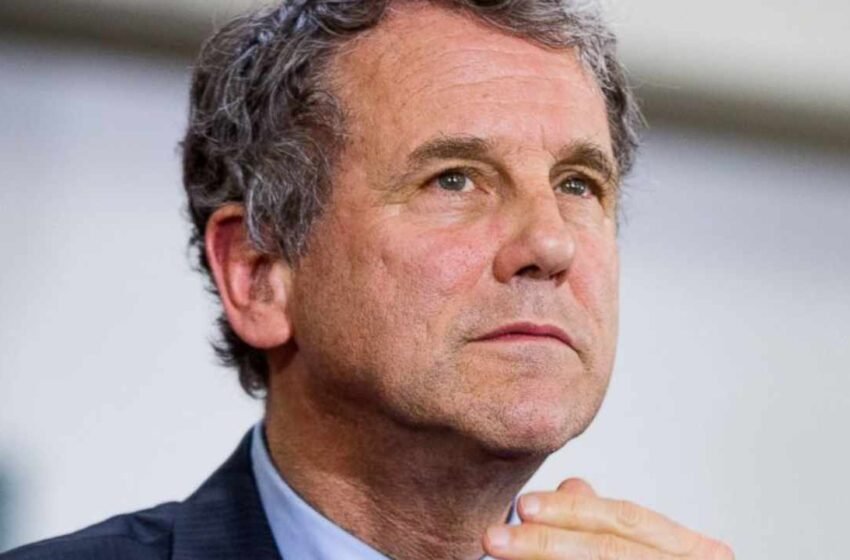  US Senator Calls Sam Bankman-Fried to Answer for Failure of FTX and Alameda Research – Bitcoin News