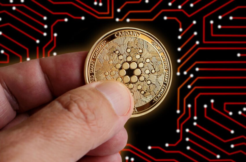  ADA Hits All-Time Low on Friday, MATIC Extends Recent Downtrend – Market Updates Bitcoin News