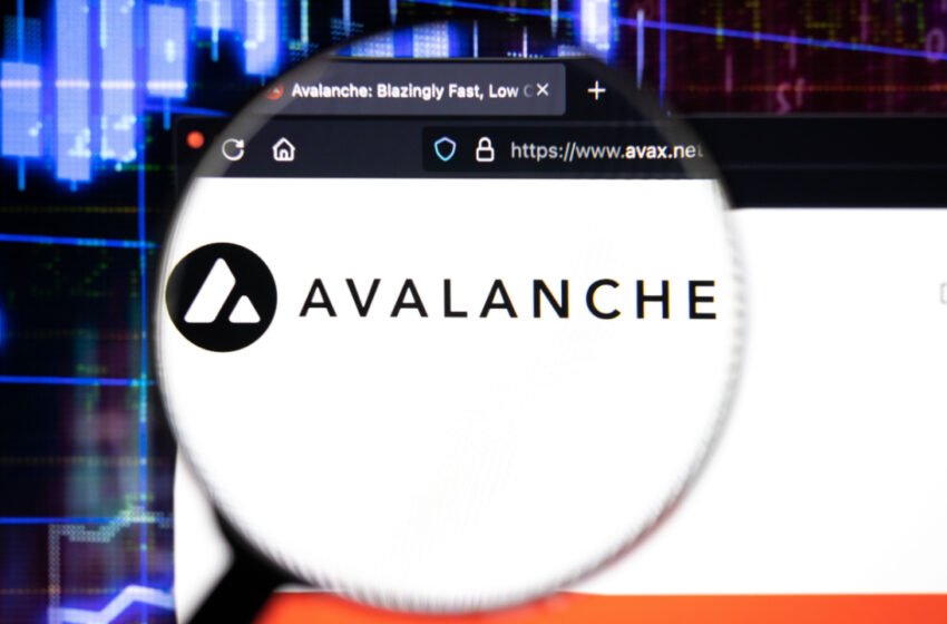  AVAX Hits 1-Week High, as LTC Also Climbs Following US Inflation Data – Market Updates Bitcoin News