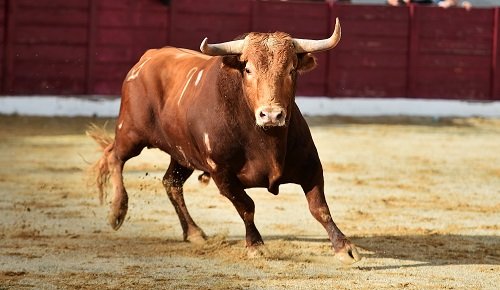  Bitcoin bulls push BTC to highs of $23,300