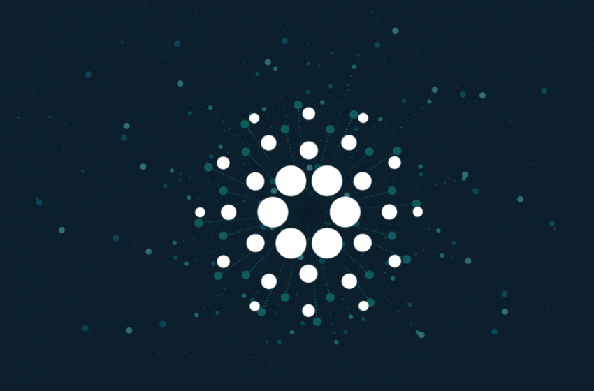  Cardano Experienced Short Network Outage on Sunday