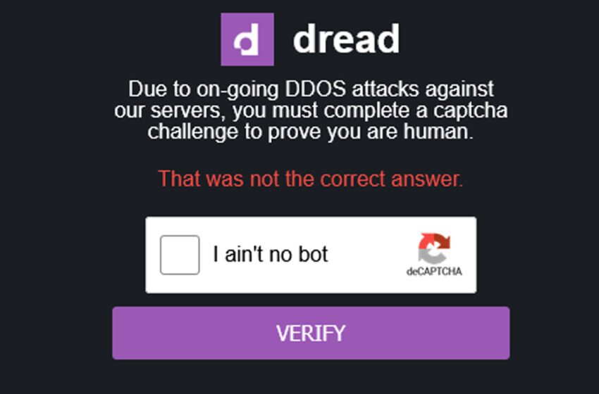 Darknet Forum Dread to Relaunch After Month-Long Downtime Due to DDOS Attack – Bitcoin News