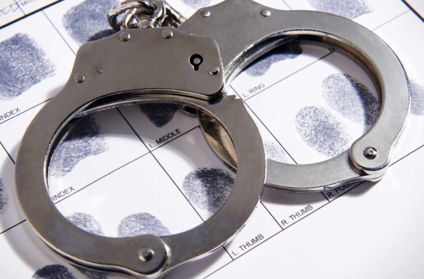  Authorities in Germany, Bulgaria, Serbia, Cyprus Take Down Crypto Scam Network – Regulation Bitcoin News