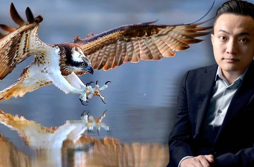  Osprey Vies for Control of Grayscale’s Bitcoin Trust; Tron’s Justin Sun Offers to Invest Up to $1B on DCG Assets – Bitcoin News