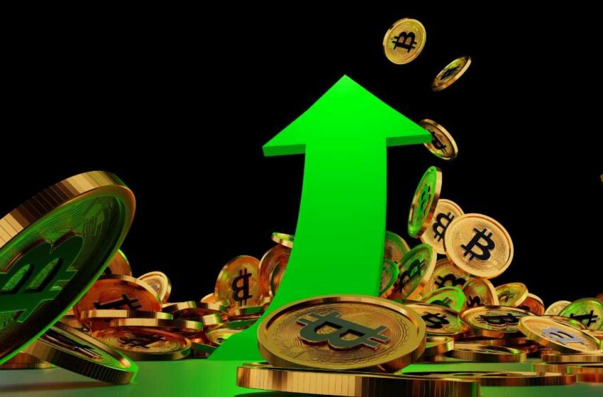  Institutional Investors Forecast ‘Strong Year’ for Bitcoin — 65% Expect BTC to Hit $100K, Survey Shows – Markets and Prices Bitcoin News