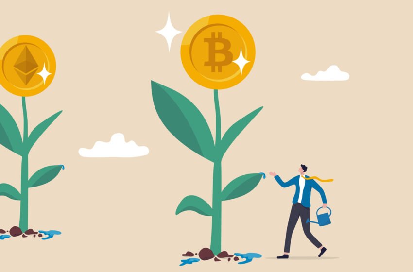  Hashkey Capital Raises $500 Million for Its Third Fund, Despite Crypto Market Downturn – Bitcoin News