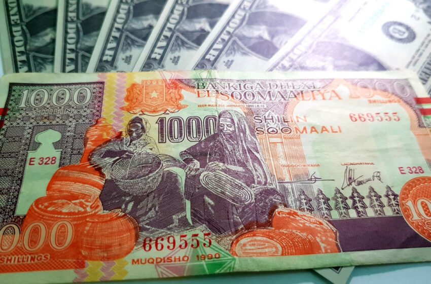  Somalia to Fight Inflation and Counterfeiters With New Banknotes – Africa Bitcoin News