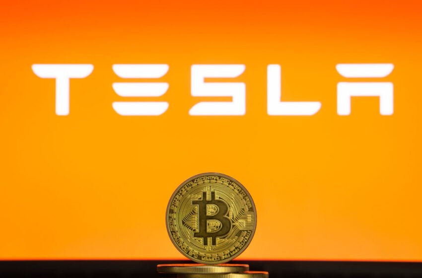  BTC Back Above $23,000 Following Tesla Q4 Earnings Report – Market Updates Bitcoin News