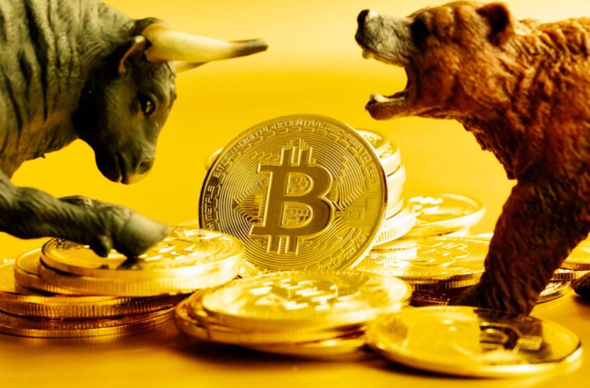  BTC Remains Near $23,000 to Start the Week – Market Updates Bitcoin News