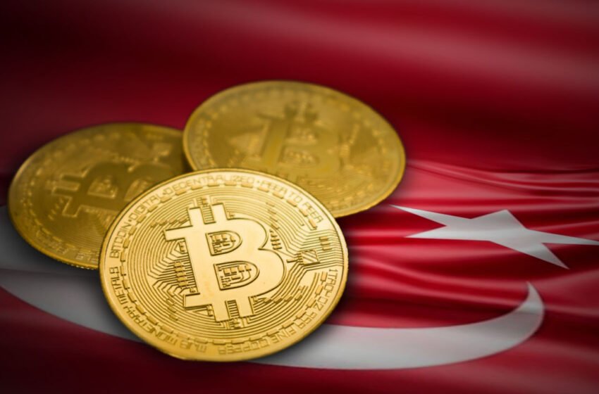  Crypto Association in Turkey Vows to Block Exchanges That ‘Victimize Traders’ – Exchanges Bitcoin News