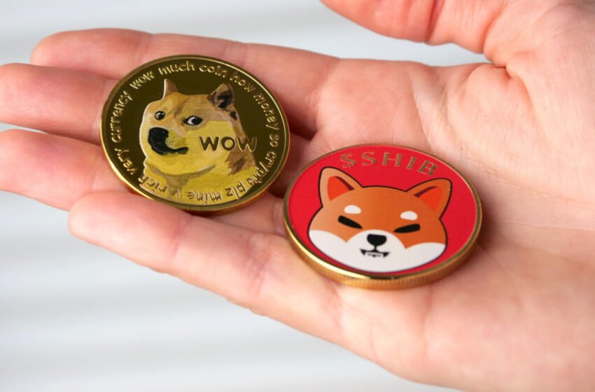 DOGE, SHIB Surge to Multi-Week Highs on Thursday – Market Updates Bitcoin News