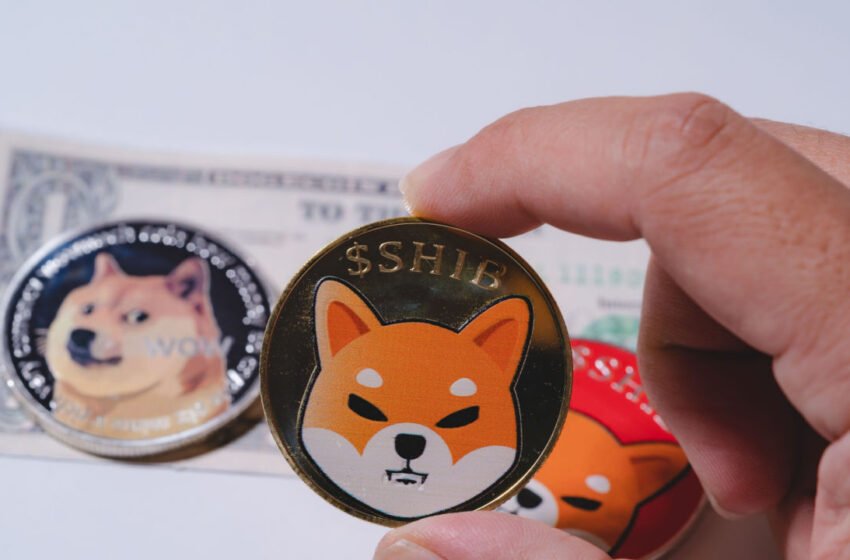  Meme Coins Move Lower, With SHIB Declining by 10% – Market Updates Bitcoin News
