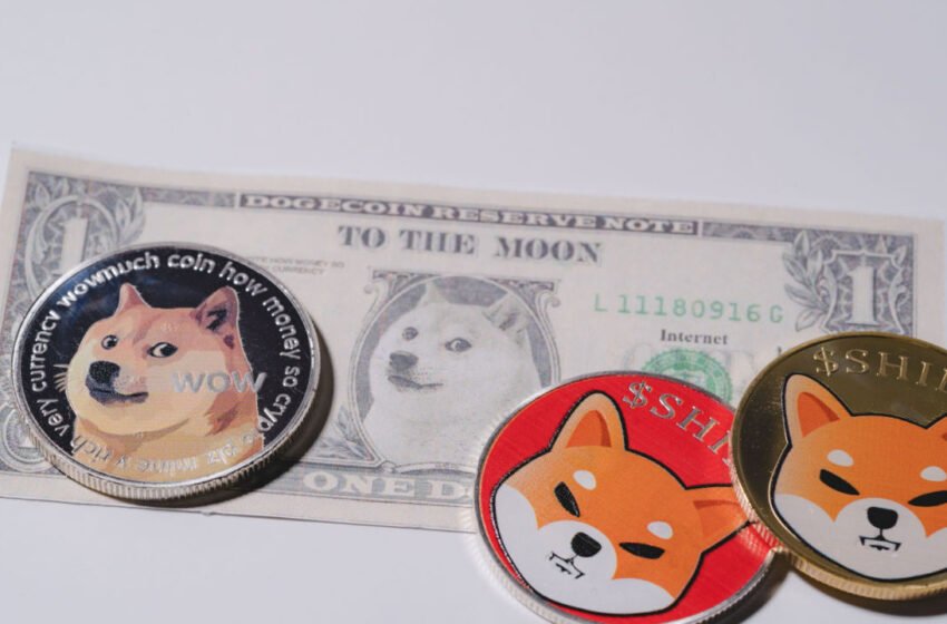  DOGE Hits 8-Week High as Meme Coins Rally on Tuesday – Market Updates Bitcoin News