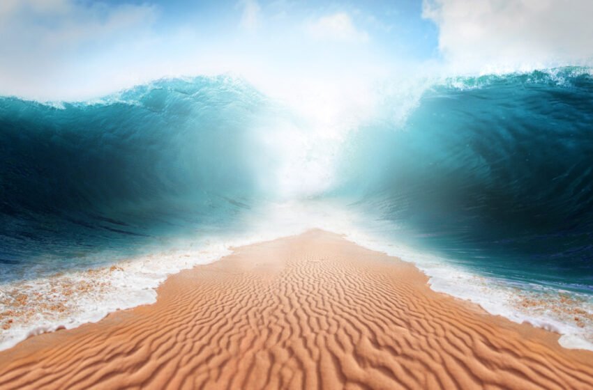  Opensea Drops Fees to Zero and Announces New Creator Earnings Model in Response to Shifting NFT Landscape – Bitcoin News