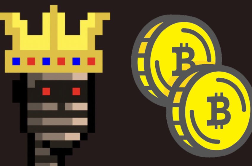  Over 50,000 Added to the Bitcoin Blockchain in 2023 – Bitcoin News