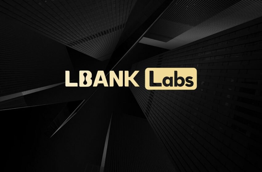  Czhang Lin Explains the Investment Strategy of LBank Labs in Web3 – Interview Bitcoin News