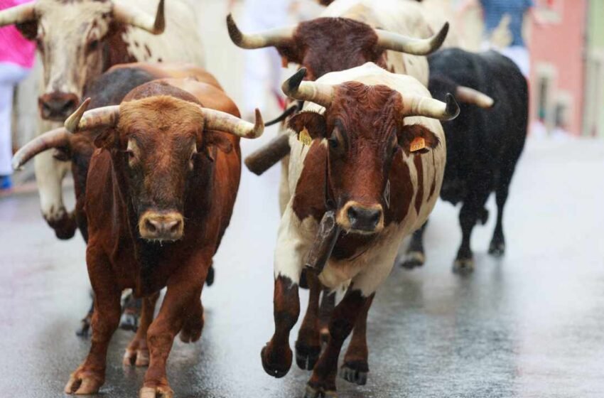  Next Crypto Bull Run Will Start From the East, Says Gemini Co-Founder – Markets and Prices Bitcoin News
