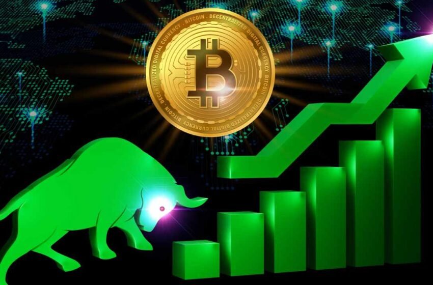  We’re in Next Bull Market Cycle – Markets and Prices Bitcoin News