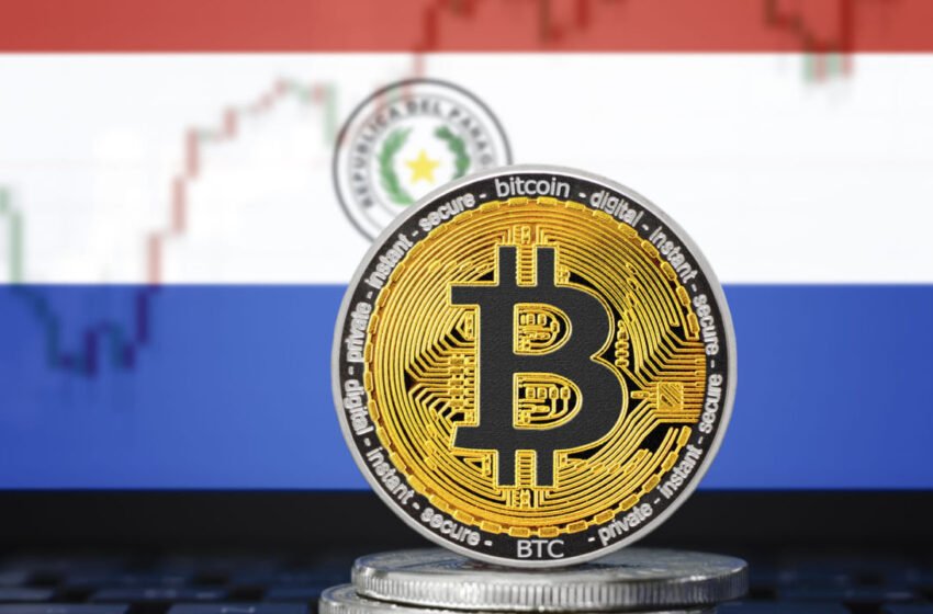  Paraguay to Become Top Bitcoin Mining Hub in Latam According to Insight Group – Mining Bitcoin News