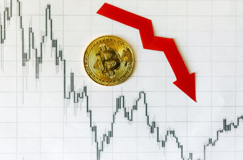  BTC Falls Below $24,000 Ahead of US Consumer Sentiment Data – Market Updates Bitcoin News
