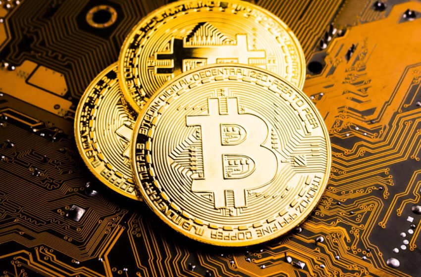  Ark Invest on $1.4M BTC, Possible Julian Assange-Linked File on Bitcoin Blockchain — Week in Review – The Weekly Bitcoin News